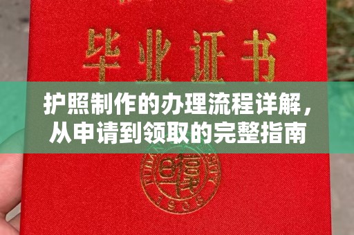 海东护照制作的办理流程详解，从申请到领取的完整指南